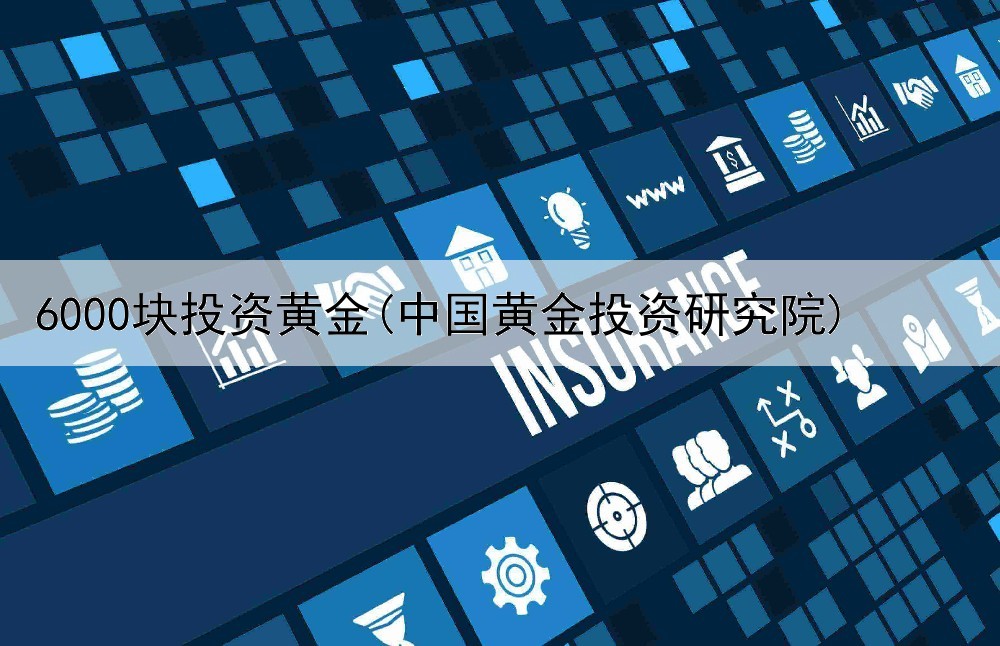  6000块投资黄金(中国黄金投资研究院)