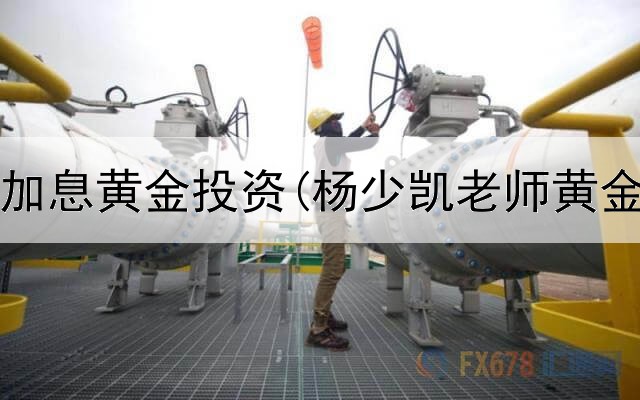  美联储加息黄金投资(杨少凯老师黄金投资)