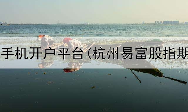  海门期货手机开户平台(杭州易富股指期货平台)