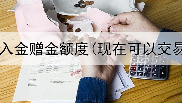  贵金属开户入金赠金额度(现在可以交易贵金属吗)