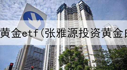  国内投资黄金etf(张雅源投资黄金白银)