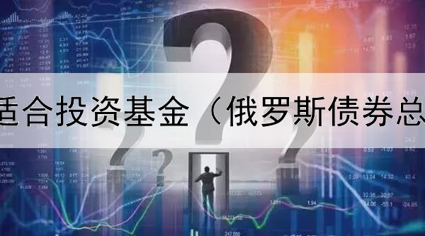  什么债券适合投资基金（俄罗斯债券总额是多少）