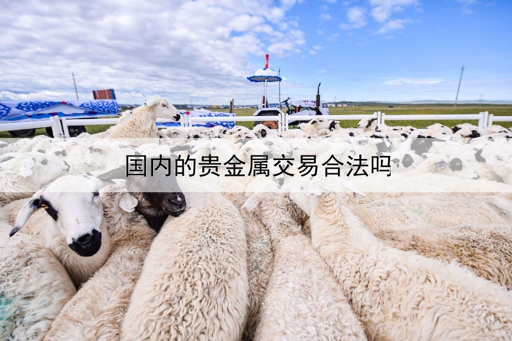  国内的贵金属交易合法吗