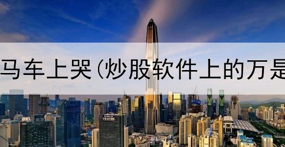  炒股坐在宝马车上哭(炒股软件上的万是指万手吗)