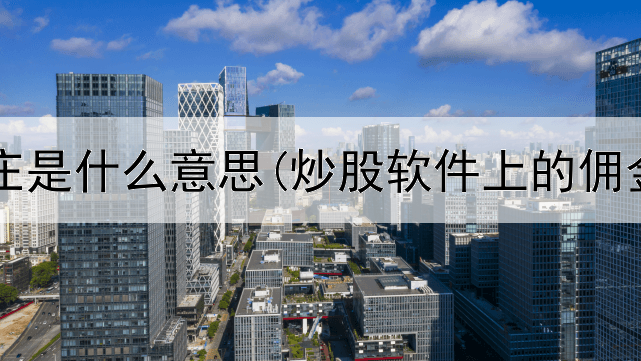  炒股坐庄是什么意思(炒股软件上的佣金什么)