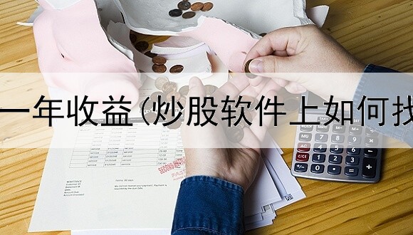  炒股做波段一年收益(炒股软件上如何找新股日历)