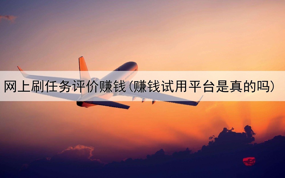 网上刷任务评价赚钱(赚钱试用平台是真的吗)