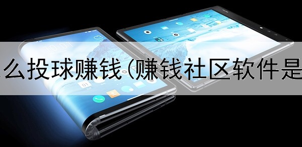 在网上怎么投球赚钱(赚钱社区软件是真的吗)