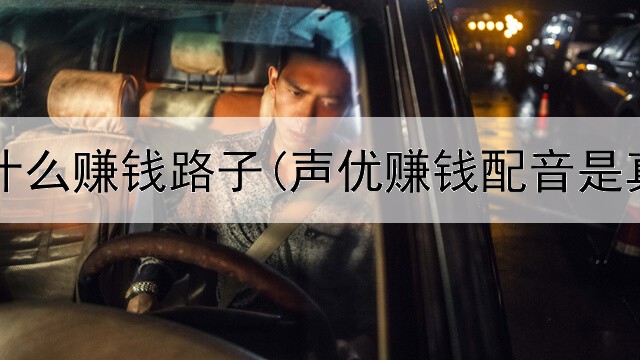 网上又什么赚钱路子(声优赚钱配音是真的吗)