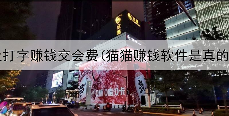 网上打字赚钱交会费(猫猫赚钱软件是真的吗)