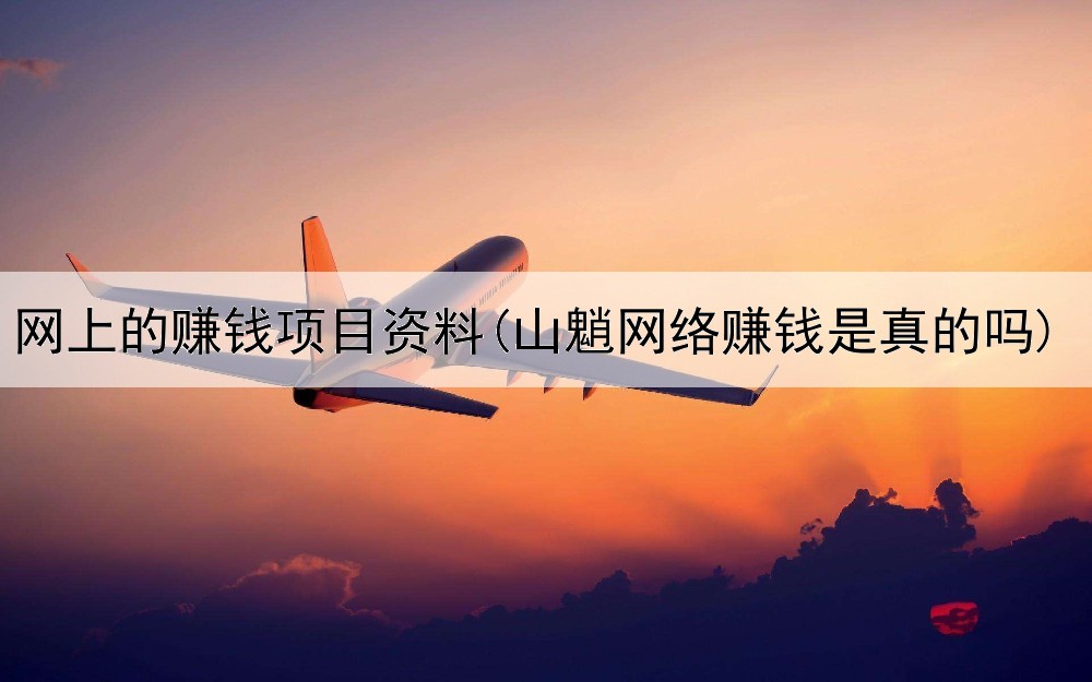网上的赚钱项目资料(山魈网络赚钱是真的吗)
