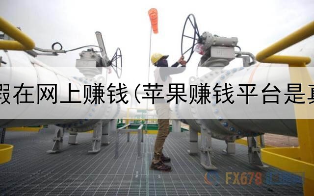  学生暑假在网上赚钱(苹果赚钱平台是真的吗)