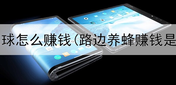 网上双色球怎么赚钱(路边养蜂赚钱是真的吗)