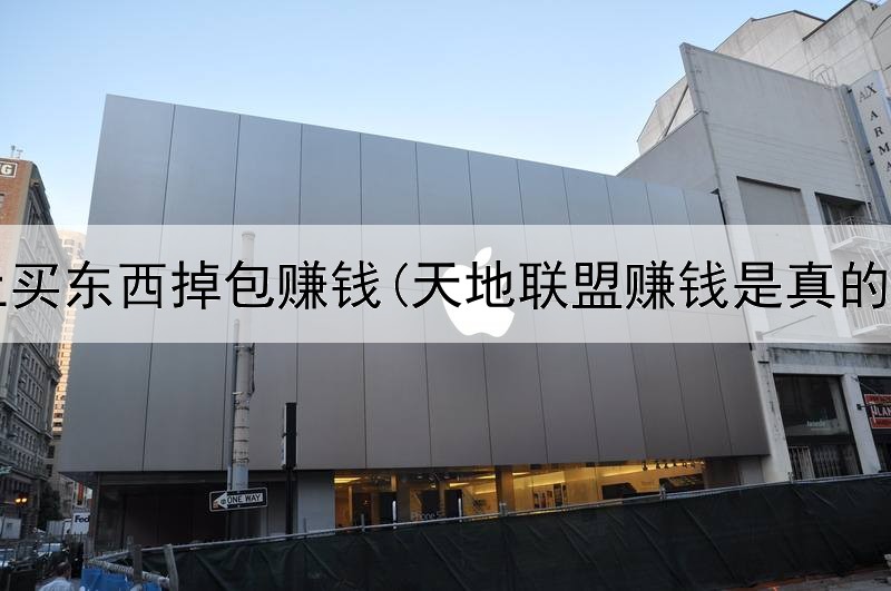 网上买东西掉包赚钱(天地联盟赚钱是真的吗)