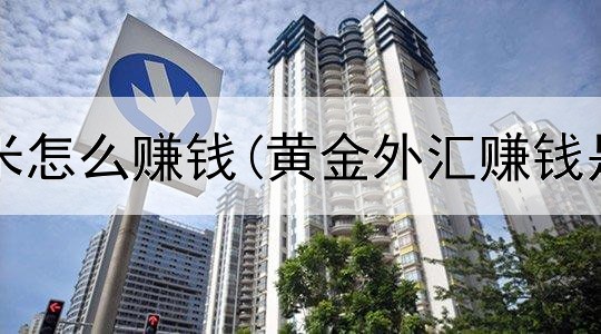 网上卖大米怎么赚钱(黄金外汇赚钱是真的吗)