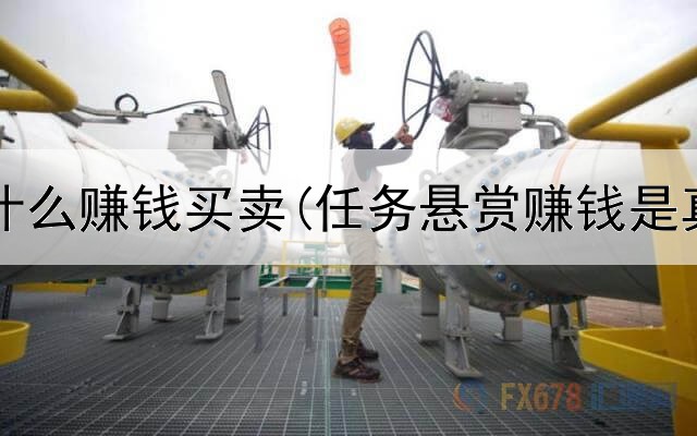 网上有什么赚钱买卖(任务悬赏赚钱是真的吗)