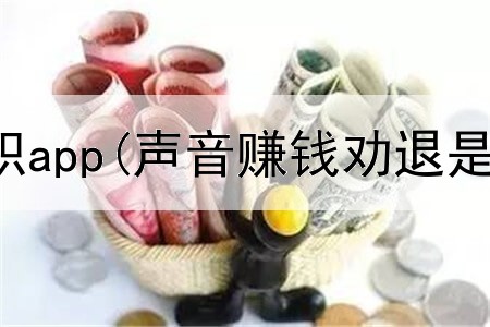 赚钱网上兼职app(声音赚钱劝退是真的吗)