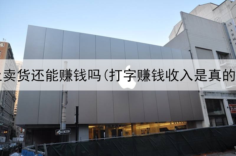 网上卖货还能赚钱吗(打字赚钱收入是真的吗)