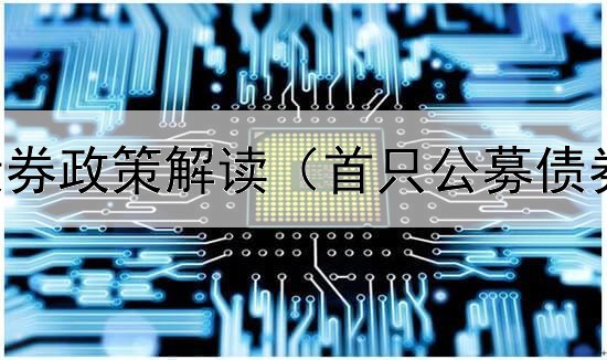  国家层面债券政策解读（首只公募债券发行成功）