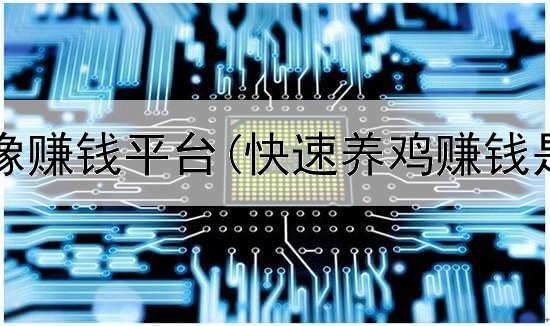 网上画头像赚钱平台(快速养鸡赚钱是真的吗)