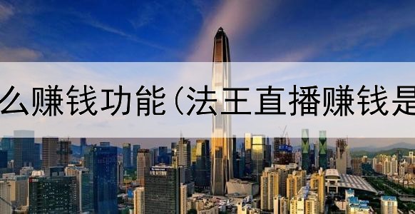 网上有什么赚钱功能(法王直播赚钱是真的吗)