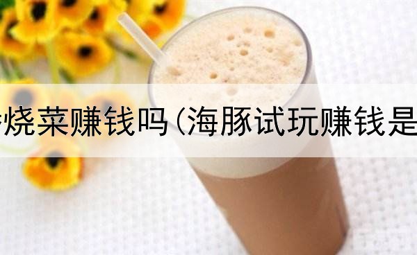 网上直播烧菜赚钱吗(海豚试玩赚钱是真的吗)