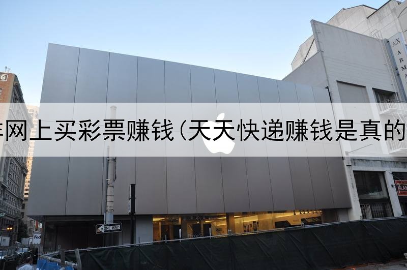 怎样网上买彩票赚钱(天天快递赚钱是真的吗)