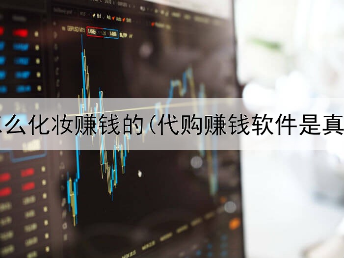网上怎么化妆赚钱的(代购赚钱软件是真的吗)
