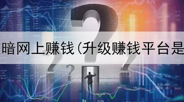 如何在在暗网上赚钱(升级赚钱平台是真的吗)