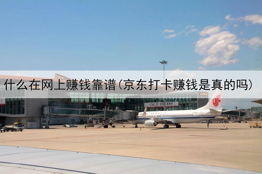 什么在网上赚钱靠谱(京东打卡赚钱是真的吗)
