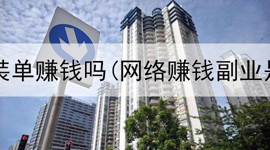 网上接安装单赚钱吗(网络赚钱副业是真的吗)