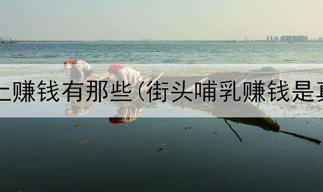 手机网上赚钱有那些(街头哺乳赚钱是真的吗)
