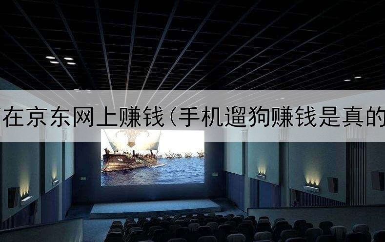 如何在京东网上赚钱(手机遛狗赚钱是真的吗)