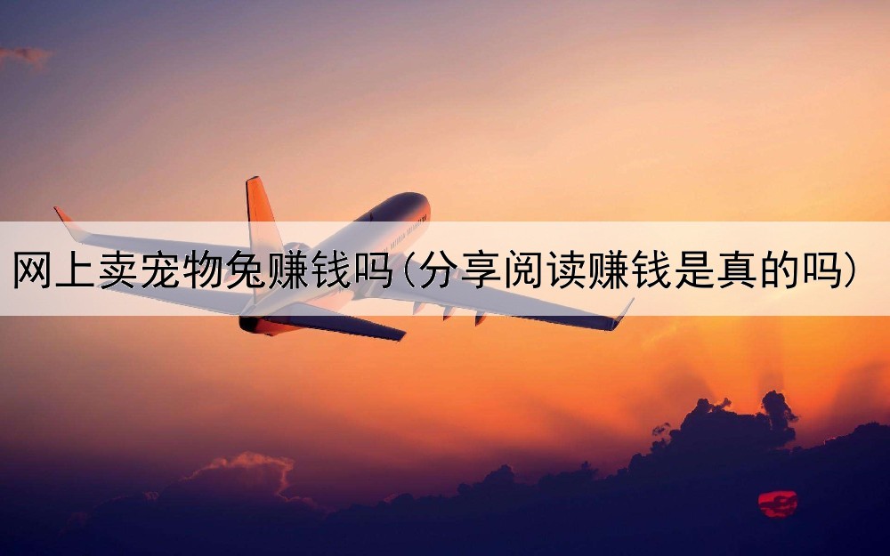 网上卖宠物兔赚钱吗(分享阅读赚钱是真的吗)