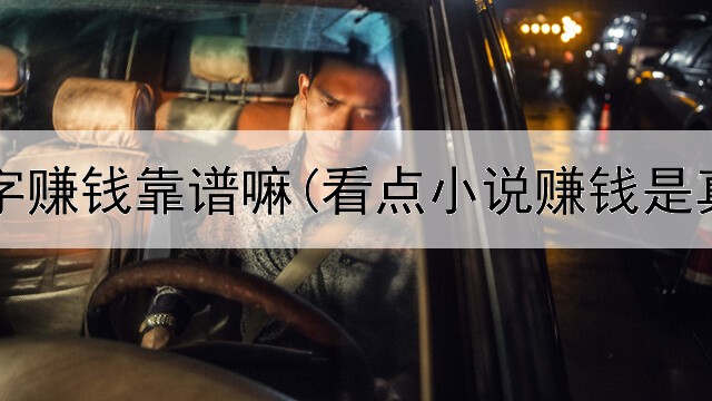 网上打字赚钱靠谱嘛(看点小说赚钱是真的吗)