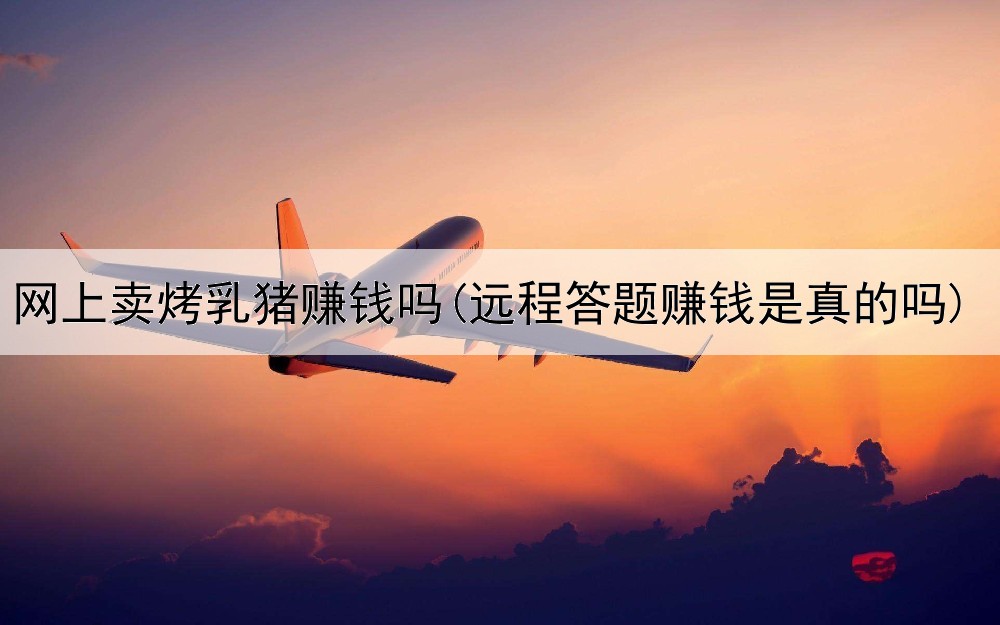 网上卖烤乳猪赚钱吗(远程答题赚钱是真的吗)