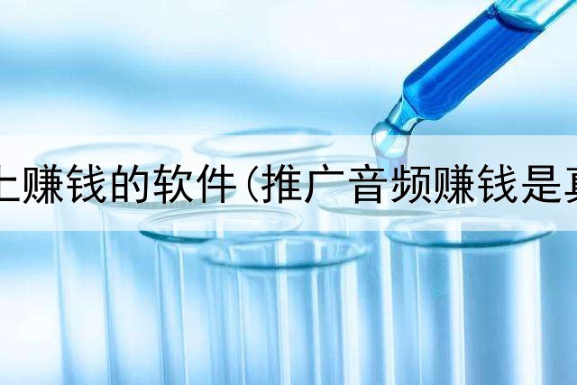 可在网上赚钱的软件(推广音频赚钱是真的吗)
