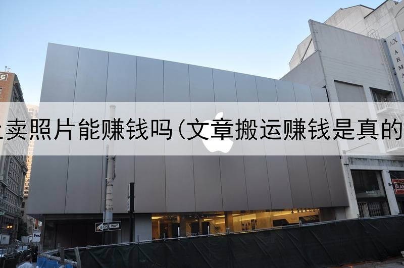 网上卖照片能赚钱吗(文章搬运赚钱是真的吗)