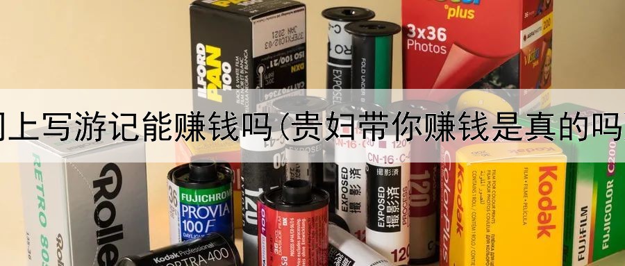网上写游记能赚钱吗(贵妇带你赚钱是真的吗)