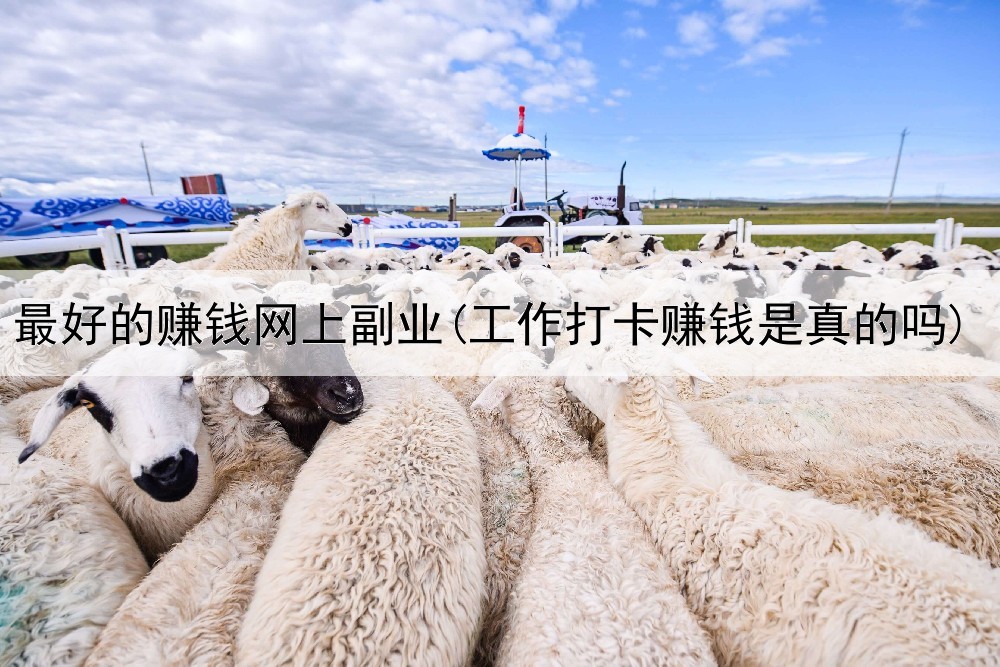  最好的赚钱网上副业(工作打卡赚钱是真的吗)