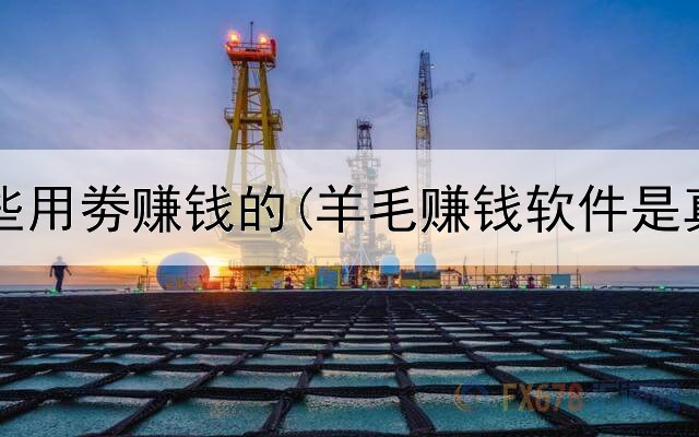 网上那些用劵赚钱的(羊毛赚钱软件是真的吗)