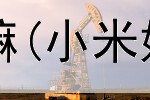 网上贩卖相机赚钱嘛(小米妈妈赚钱是真的吗)