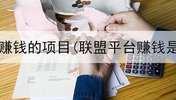 网上快取赚钱的项目(联盟平台赚钱是真的吗)