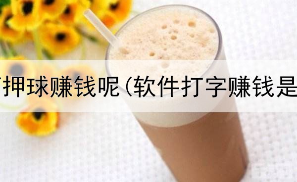 网上如何押球赚钱呢(软件打字赚钱是真的吗)