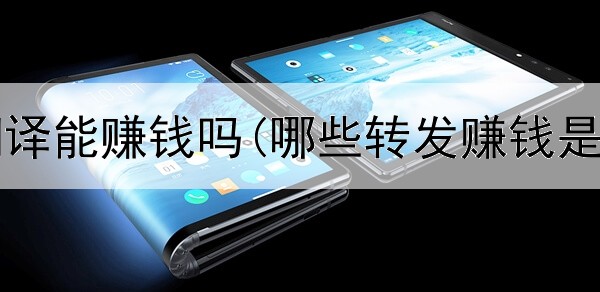 在网上翻译能赚钱吗(哪些转发赚钱是真的吗)