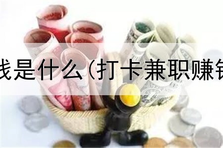 网上捞金赚钱是什么(打卡兼职赚钱是真的吗)