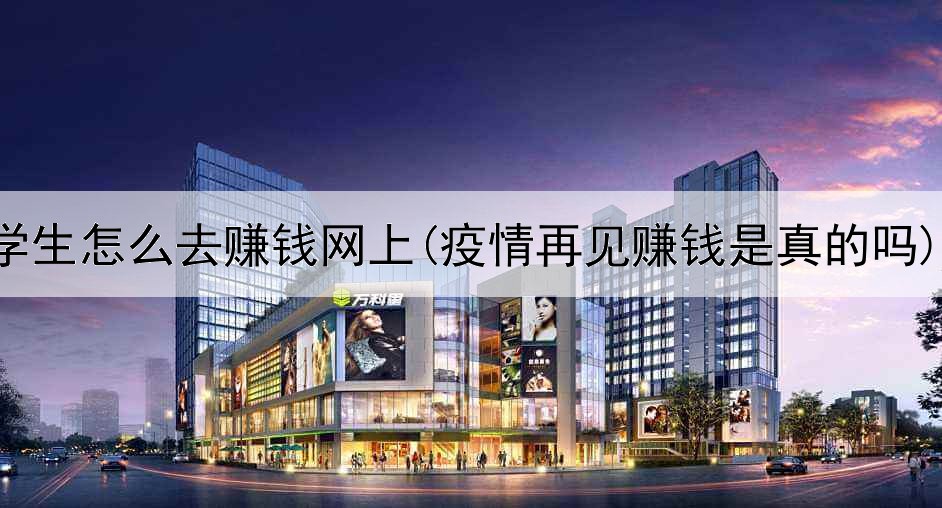 学生怎么去赚钱网上(疫情再见赚钱是真的吗)