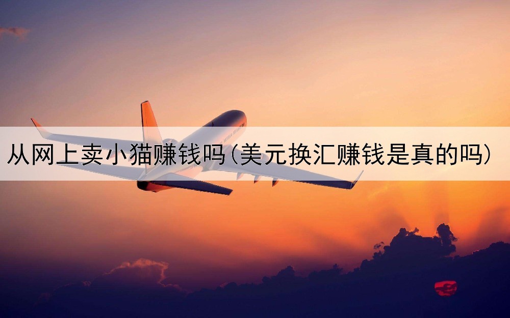 从网上卖小猫赚钱吗(美元换汇赚钱是真的吗)