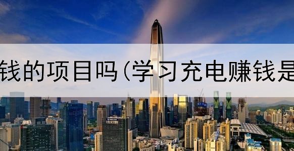 有网上赚钱的项目吗(学习充电赚钱是真的吗)