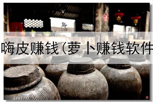 怎么在网上嗨皮赚钱(萝卜赚钱软件是真的吗)